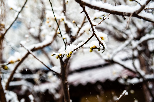 BA以来