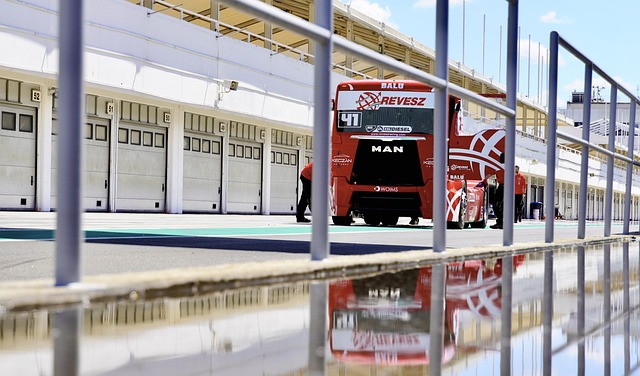 运动员凭借 运动员凭借