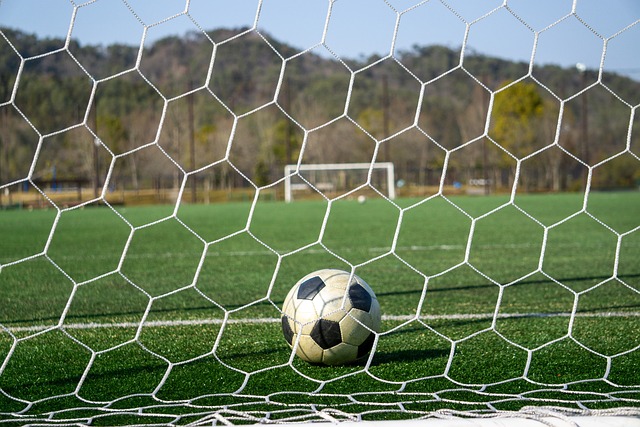 的战术安排 的战术安排