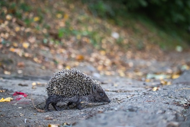 運營上的再 運營上的再
