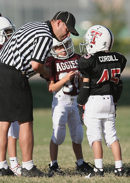 球迷和评论 球迷和评论
