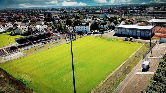 她的职业生 她的职业生